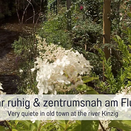 Сasa de vacaciones Historisches Gerberhaus: Eingezaeunt | Sauna | Whirlpool | Kamin Alpirsbach